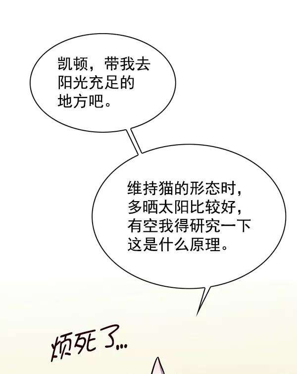 觉醒吧，铲屎官！145话