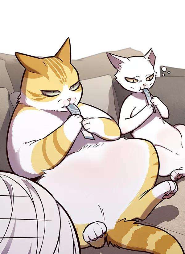 觉醒吧，铲屎官！146话
