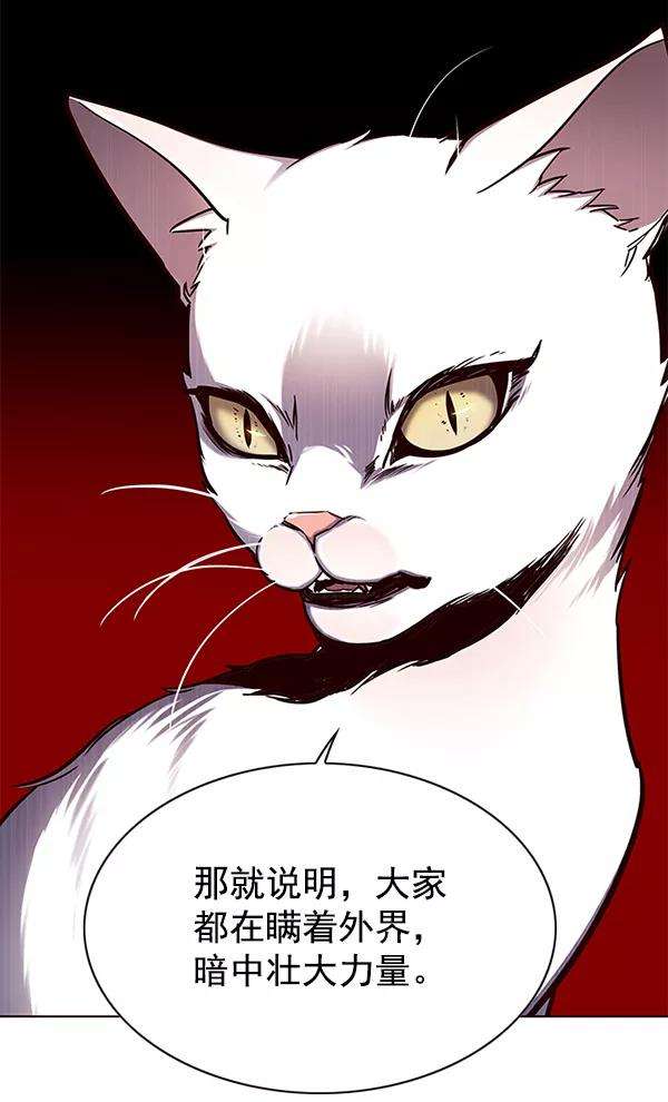 觉醒吧，铲屎官！146话