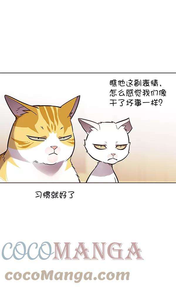 觉醒吧，铲屎官！146话