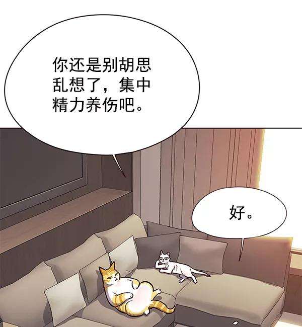 觉醒吧，铲屎官！146话