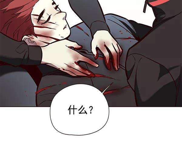 觉醒吧，铲屎官！147话