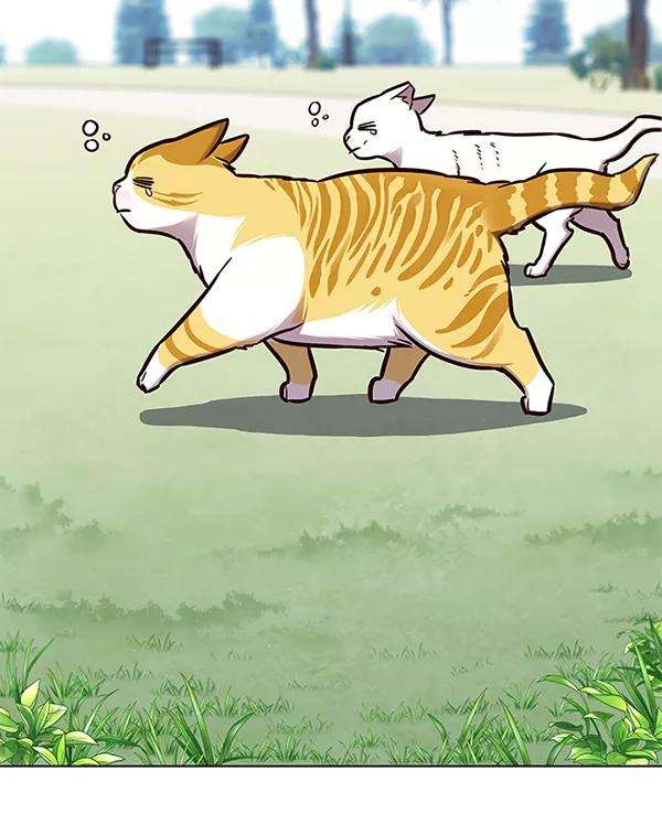 觉醒吧，铲屎官！150话