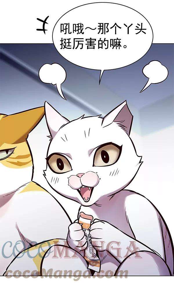 觉醒吧，铲屎官！153话