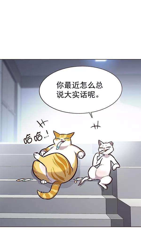 觉醒吧，铲屎官！153话