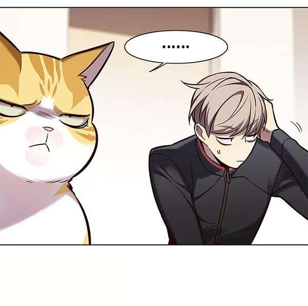 觉醒吧，铲屎官！156话