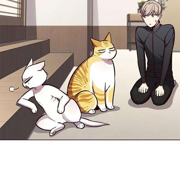 觉醒吧，铲屎官！156话