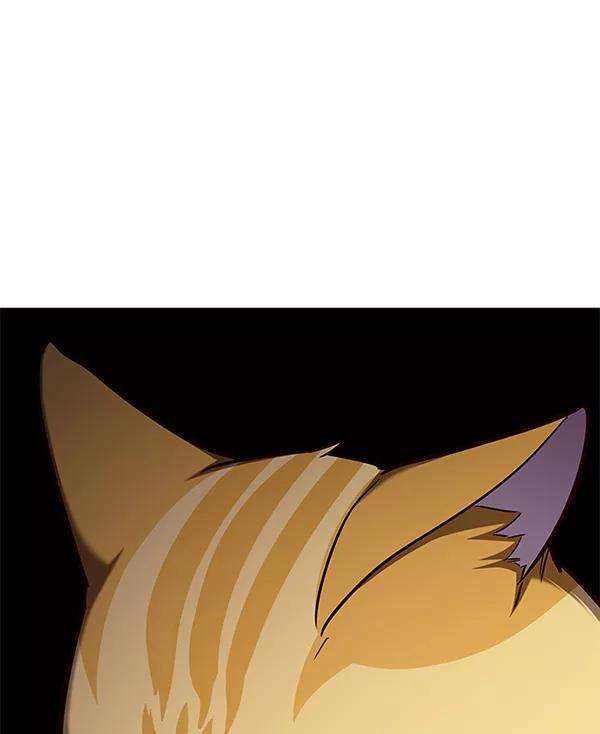 觉醒吧，铲屎官！156话