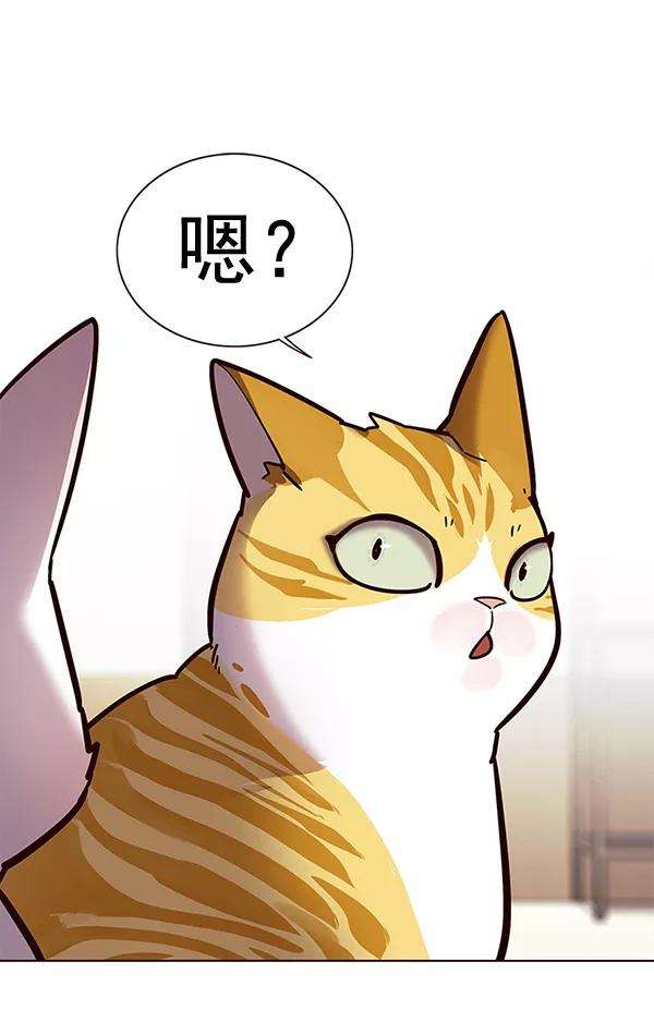 觉醒吧，铲屎官！156话