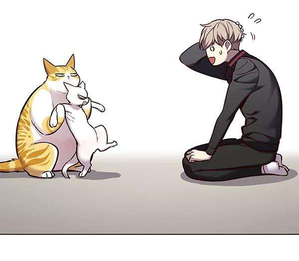 觉醒吧，铲屎官！156话