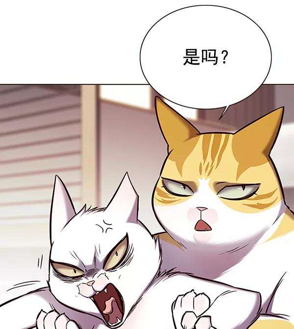 觉醒吧，铲屎官！156话