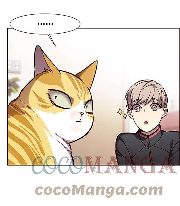 觉醒吧，铲屎官！156话