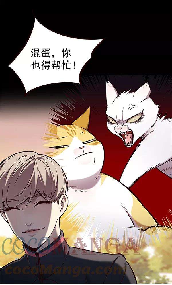 觉醒吧，铲屎官！156话