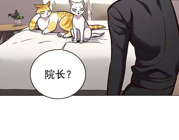 觉醒吧，铲屎官！157话