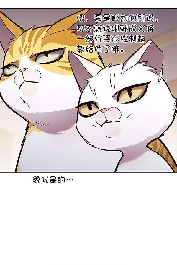 觉醒吧，铲屎官！157话