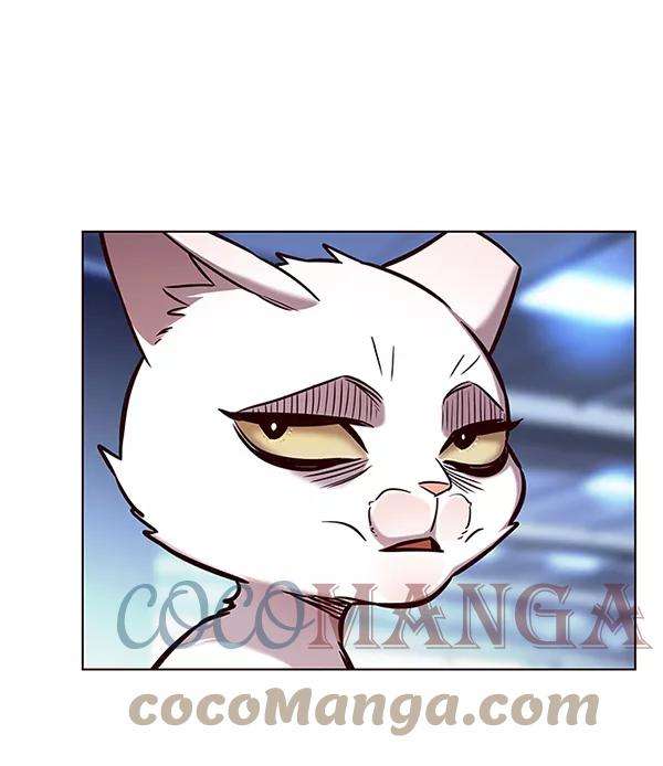 觉醒吧，铲屎官！159话