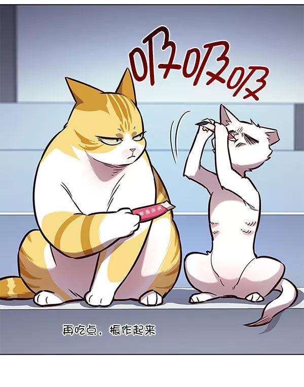 觉醒吧，铲屎官！159话