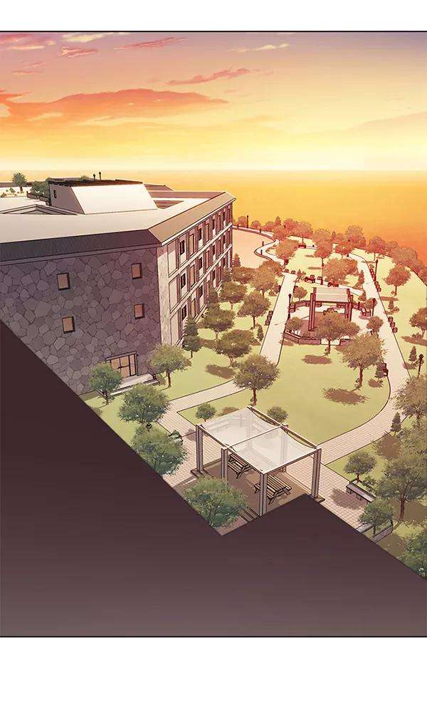 觉醒吧，铲屎官！160话