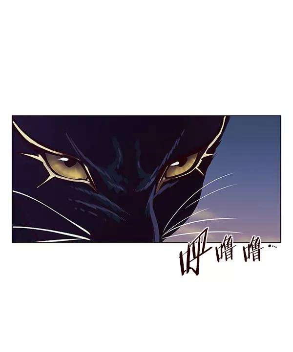 觉醒吧，铲屎官！160话