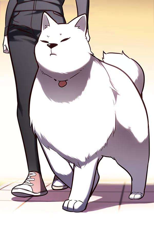 觉醒吧，铲屎官！160话