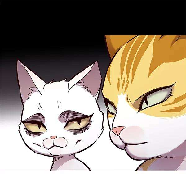 觉醒吧，铲屎官！160话