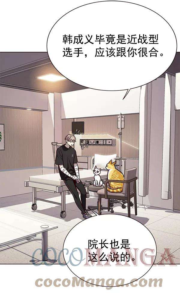 觉醒吧，铲屎官！160话