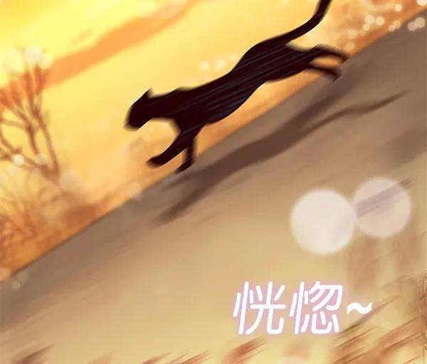 觉醒吧，铲屎官！161话