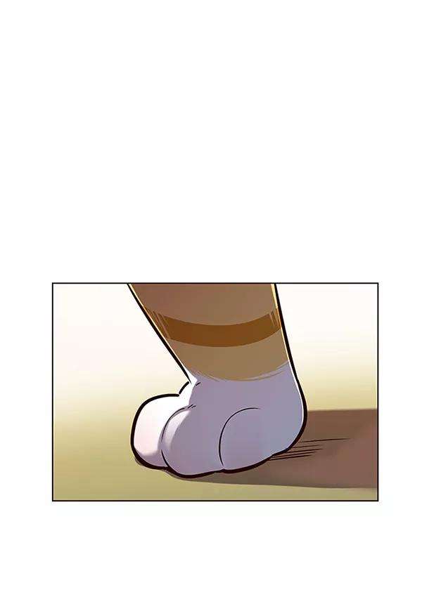 觉醒吧，铲屎官！161话