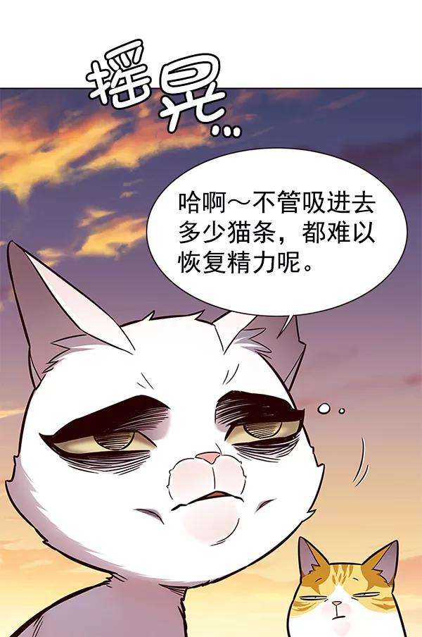 觉醒吧，铲屎官！161话
