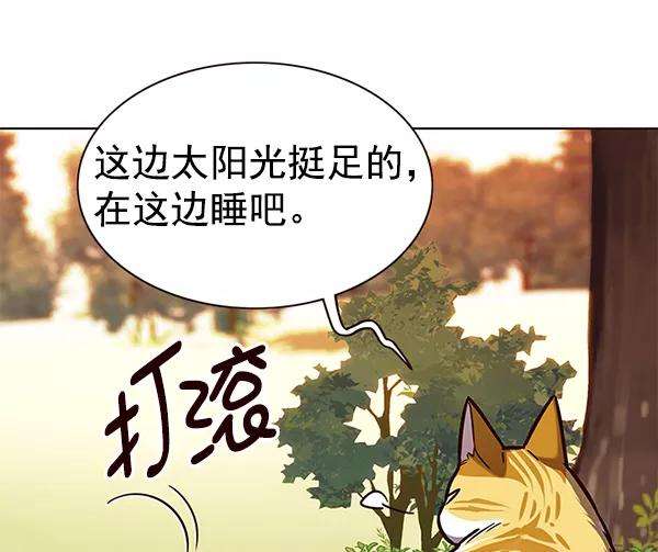 觉醒吧，铲屎官！161话