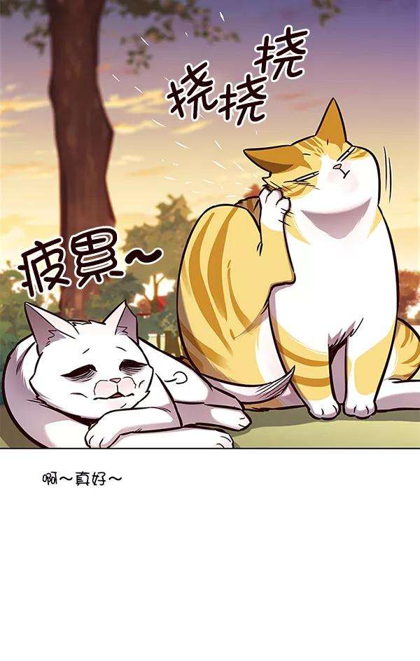 觉醒吧，铲屎官！161话