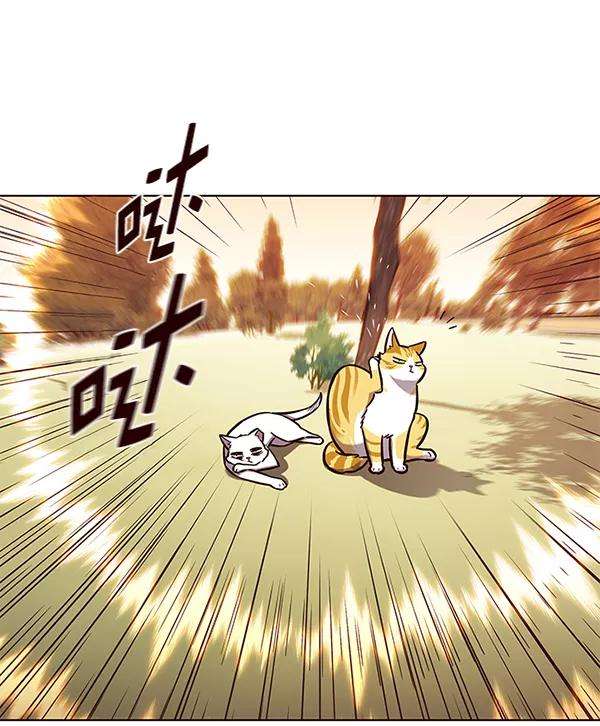 觉醒吧，铲屎官！161话