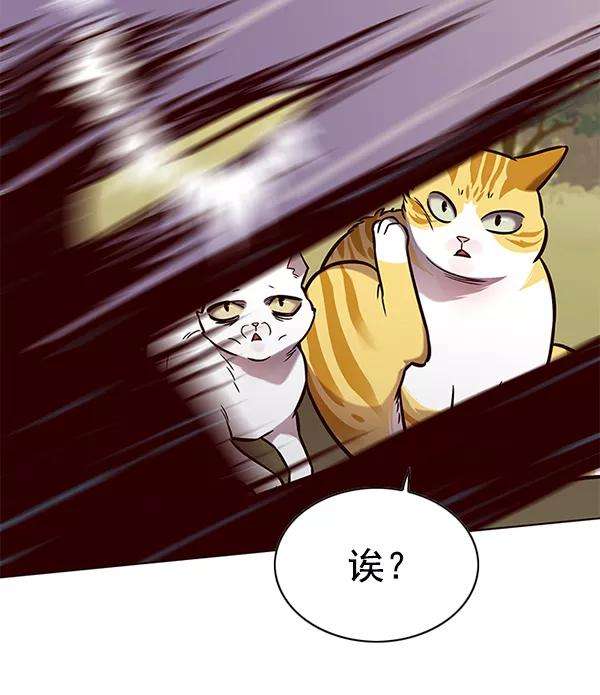 觉醒吧，铲屎官！161话