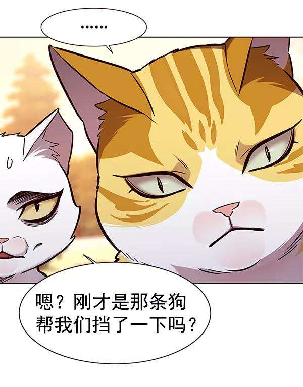 觉醒吧，铲屎官！161话