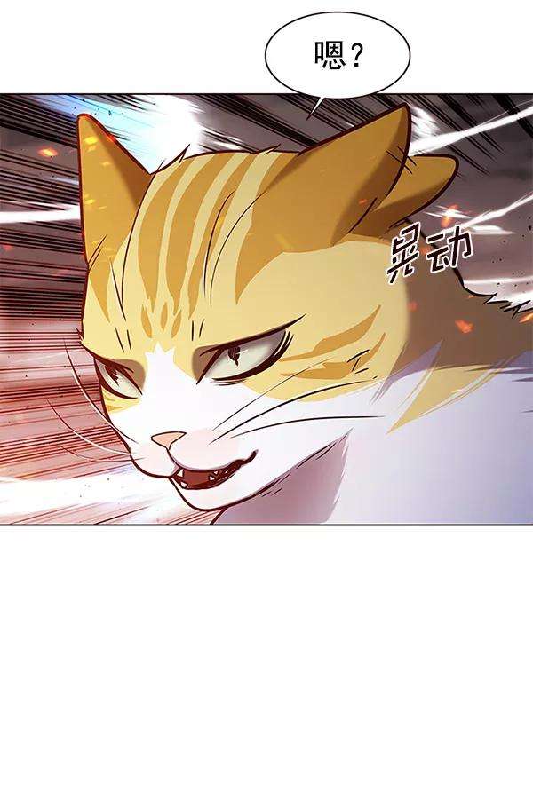 觉醒吧，铲屎官！162话