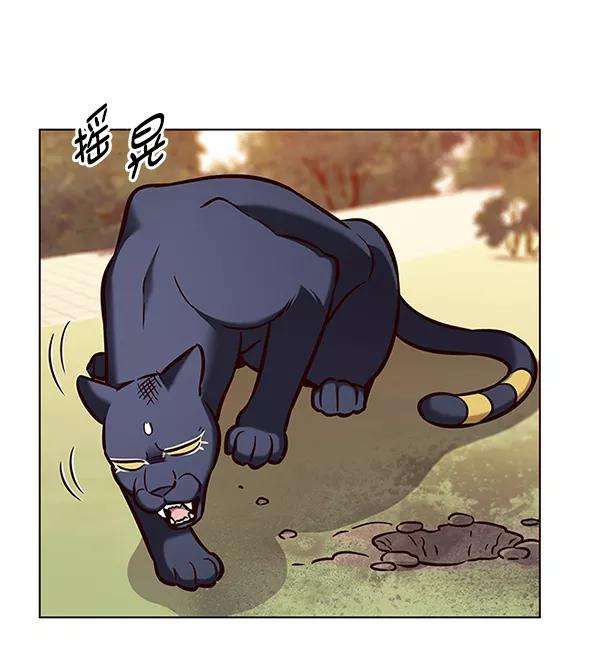 觉醒吧，铲屎官！162话