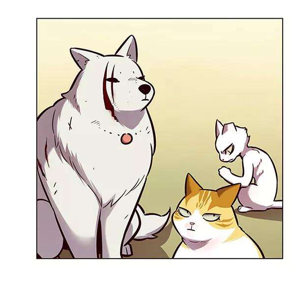 觉醒吧，铲屎官！162话