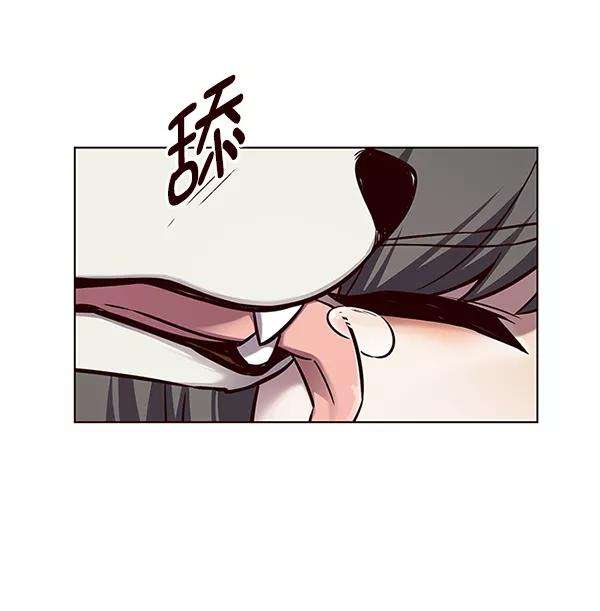 觉醒吧，铲屎官！162话