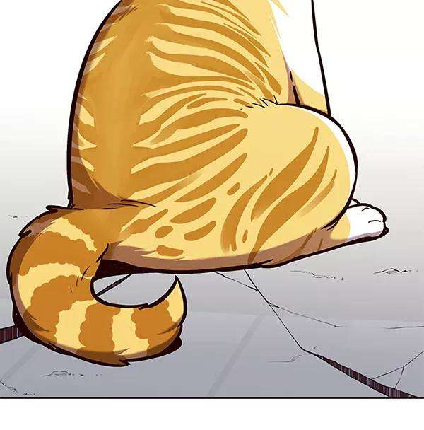 觉醒吧，铲屎官！162话