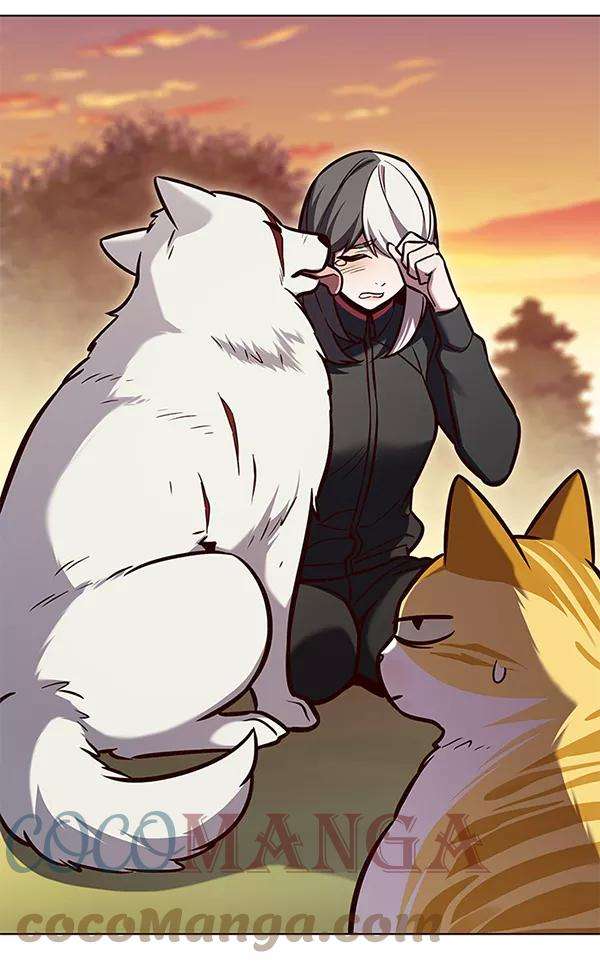 觉醒吧，铲屎官！162话