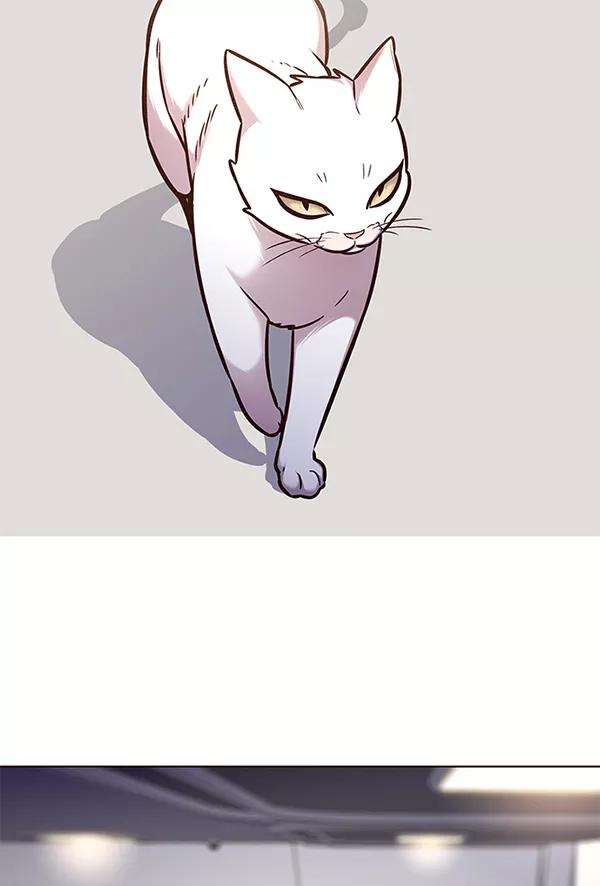 觉醒吧，铲屎官！166话