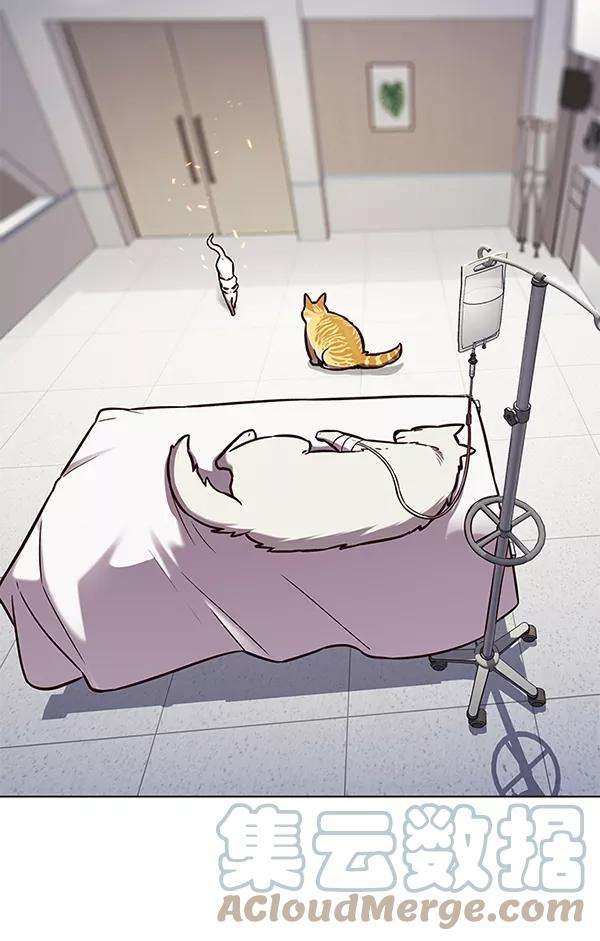 觉醒吧，铲屎官！166话