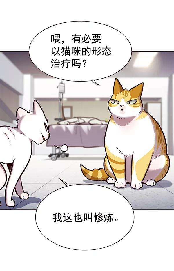 觉醒吧，铲屎官！166话