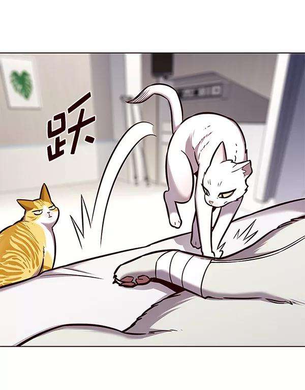 觉醒吧，铲屎官！166话