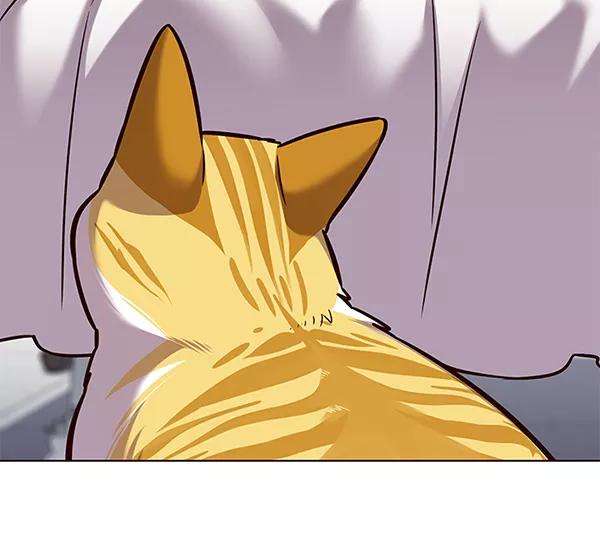 觉醒吧，铲屎官！166话