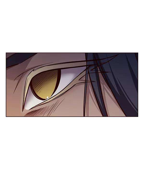 觉醒吧，铲屎官！167话