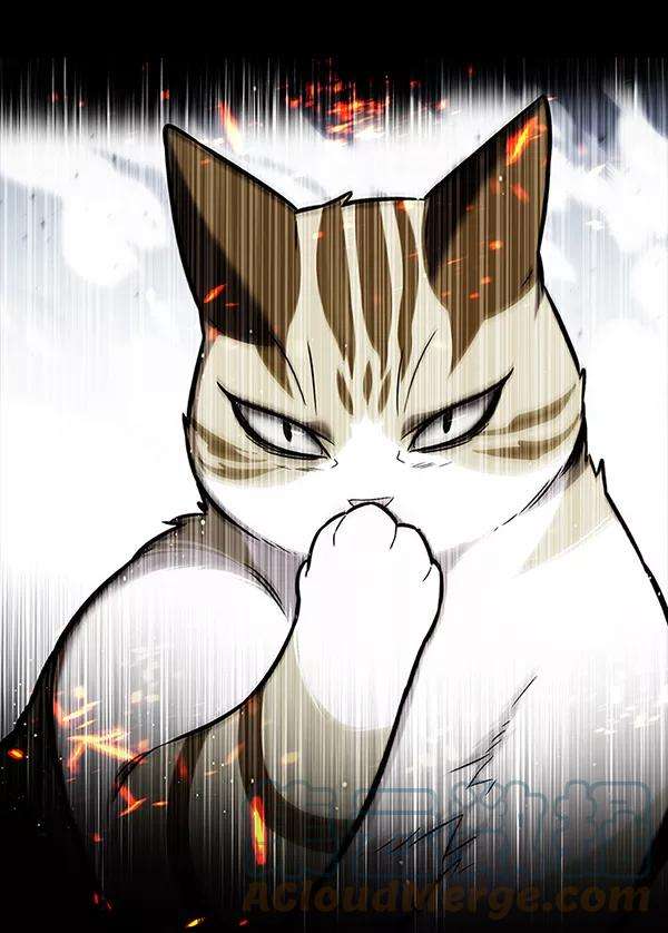 觉醒吧，铲屎官！167话