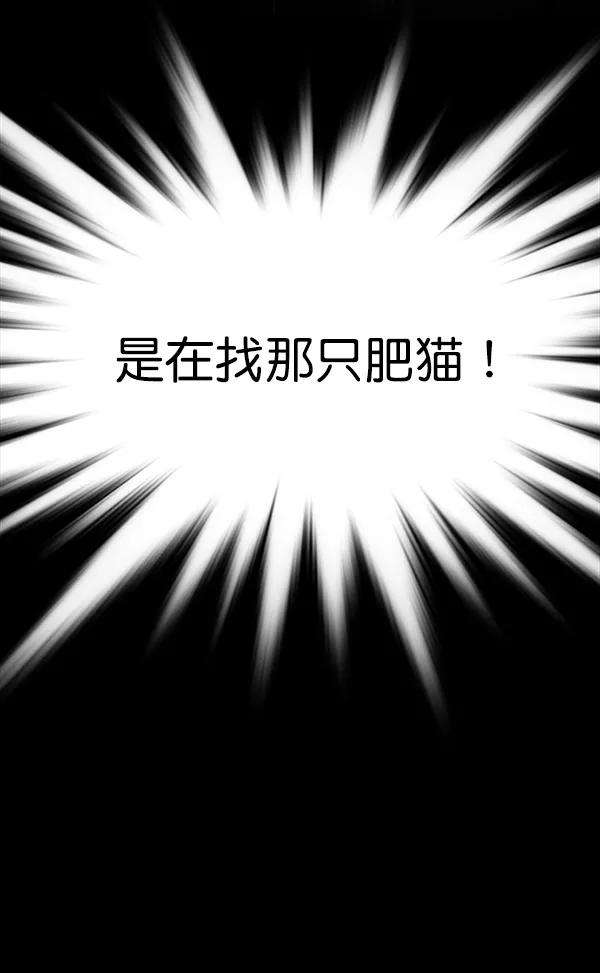 觉醒吧，铲屎官！167话