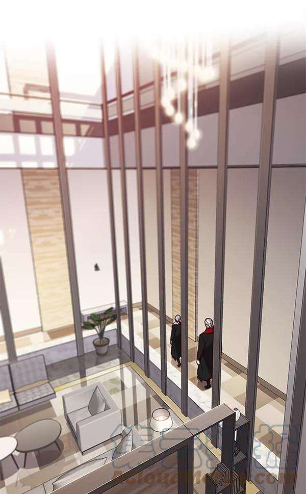 觉醒吧，铲屎官！167话