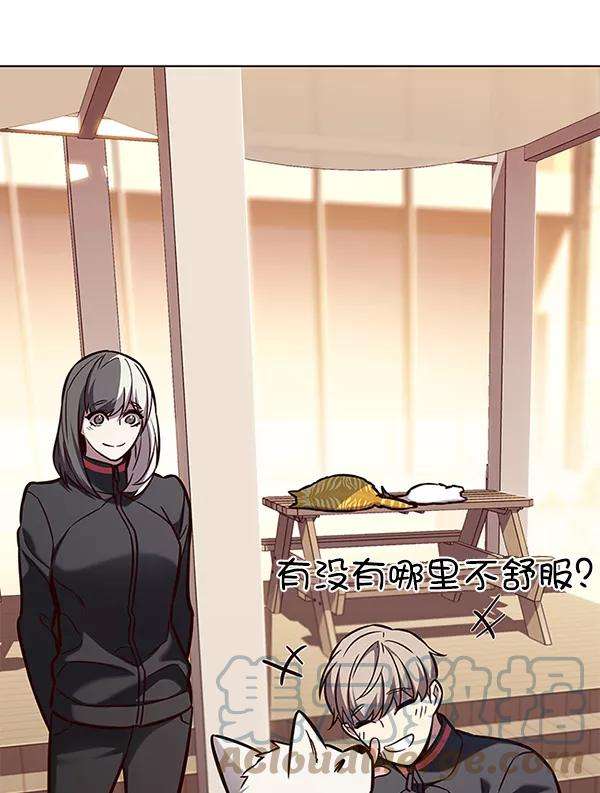 觉醒吧，铲屎官！168话